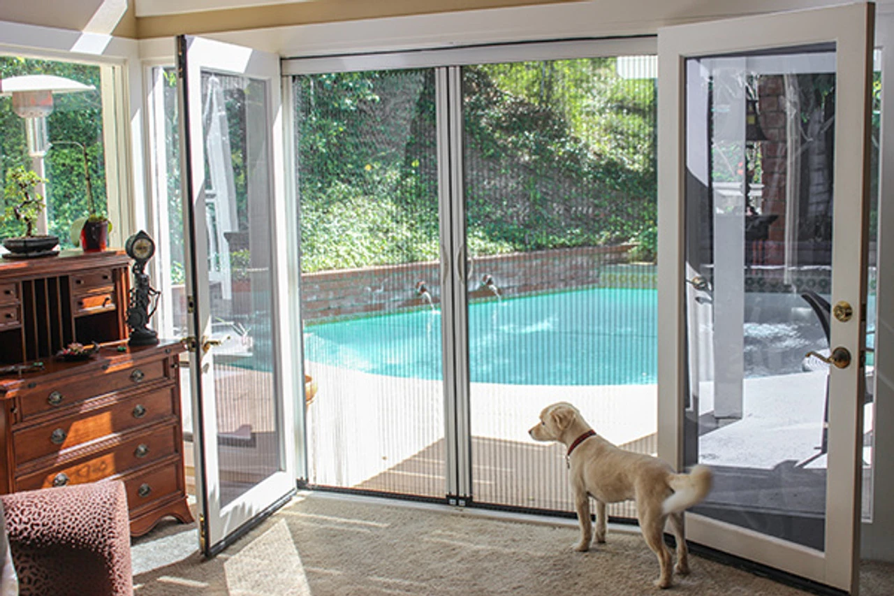 Sheer Classic 2-Panel Retractable Screen - Image 4